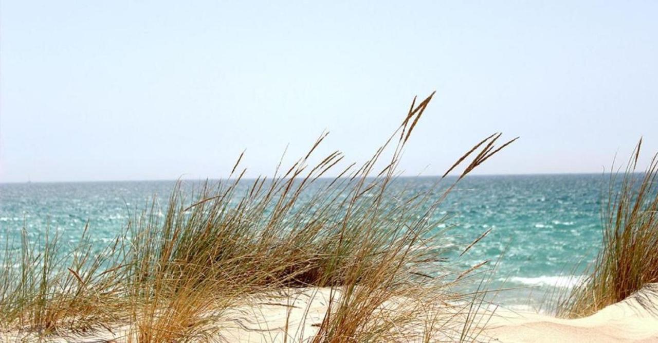 Mhvacances Louent Plusieurs Mobilhomes Dans Camping 4 Etoiles A 200M De La Plage Et Cure Thermale Canet-en-Roussillon Buitenkant foto